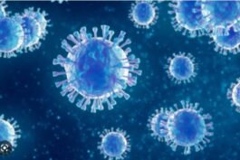 covid infection :