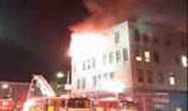 Wellington latest news :