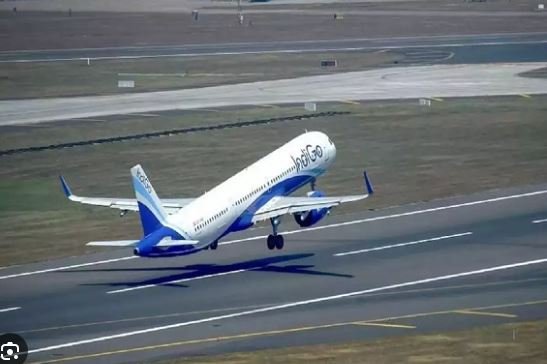Indigo Airlines :