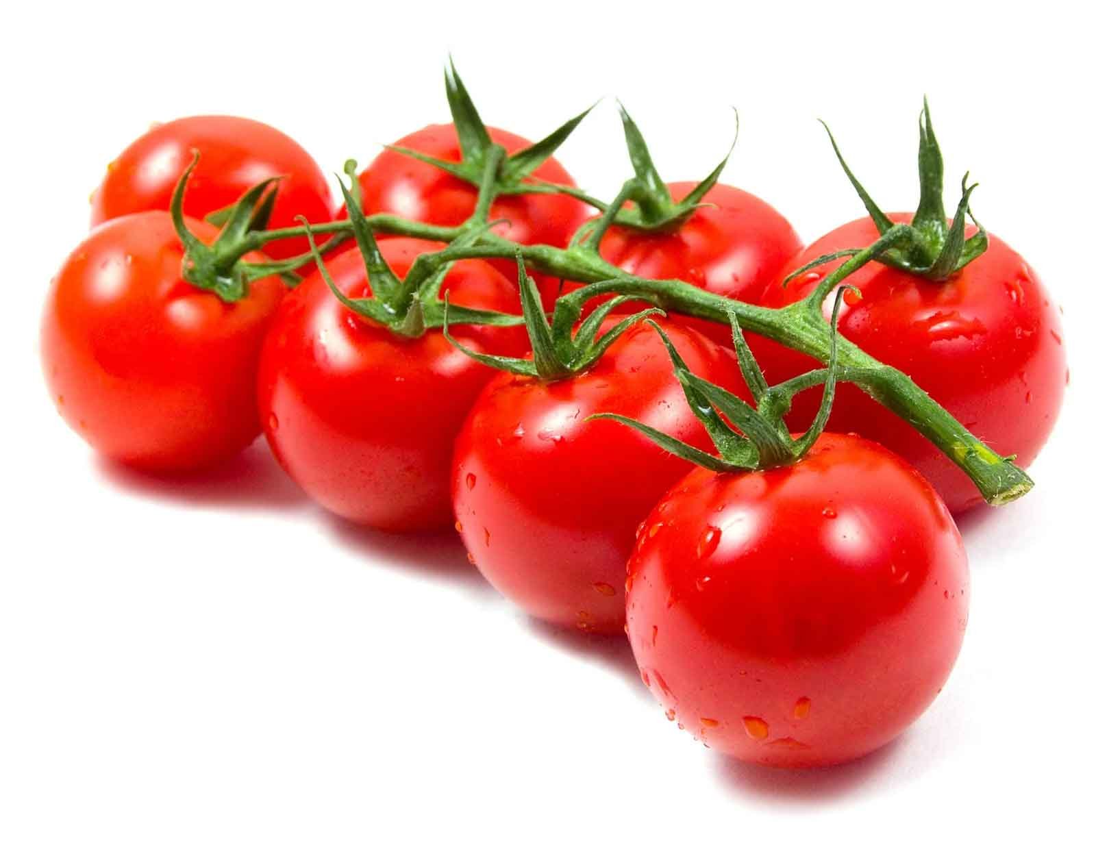 Tomato :