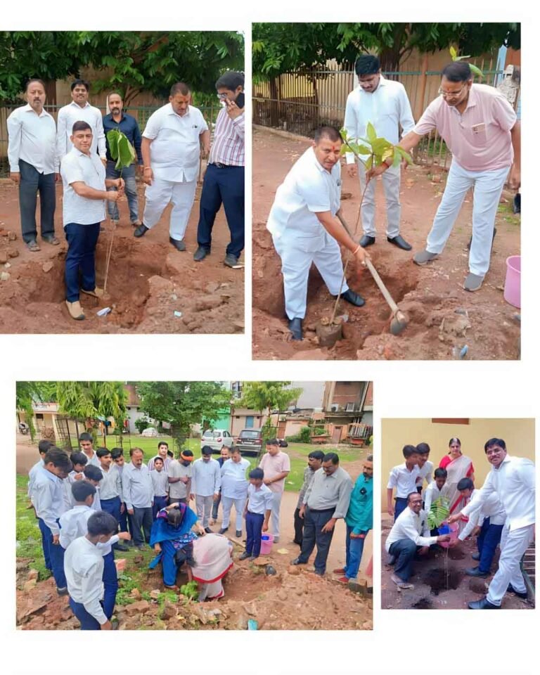 Tree planting :