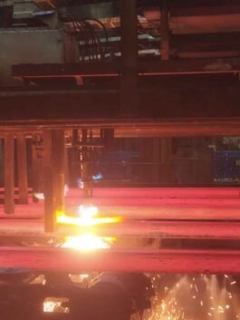 SAIL-Bhilai Steel Plant